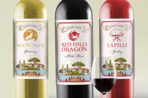 Этикетки винные