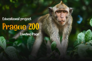 Prague Zoo