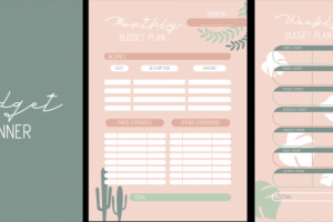 Бюджетный планер