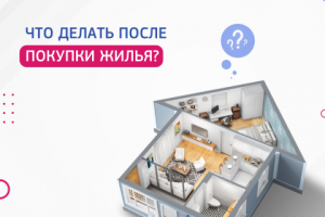 Дизайн контента для соц. сетей компании-застройщика недвижимост