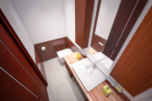 Дизайн и 3D визуализация санузла загородного дома