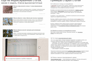 Сео тексты на тему садоводства
