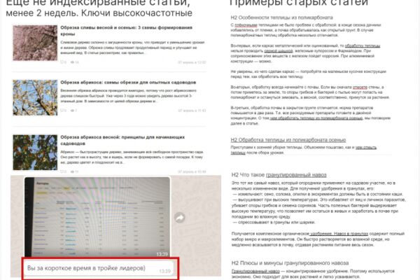 img4342792.png