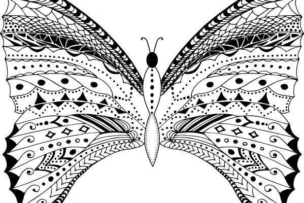 img4311230.png