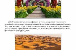 Причины поехать в Дубай