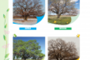 Природа родного края (учебная литература)