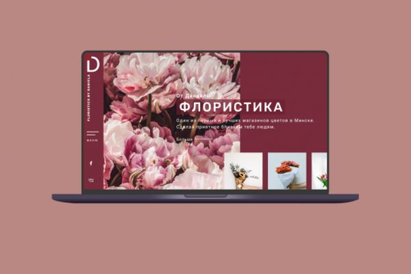 img3975693.png