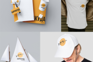 Разработка логотипа для парусного клуба «БАРРАКУДА».