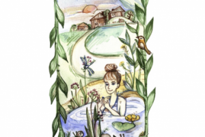 Иллюстрация