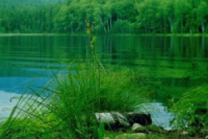 Отдых на Байкале