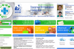 Дизайн сайта ветеринарной справочной