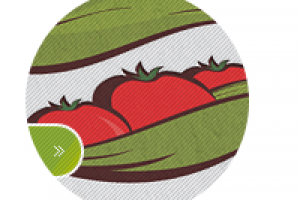 Тепличный комбинат