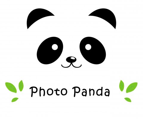 img3976633.png