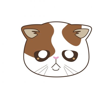img4384671.png