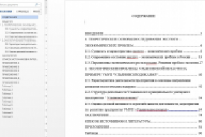 Эколого-экономические проблемы в России