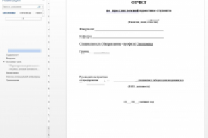 Отчет по практике, экономика