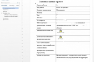 Отчет по практике, менеджмент