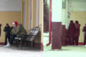 Работа 1100057