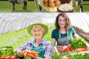 Коллаж для баннера на ферму