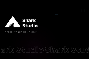 Брендбук для компании Shark Studio