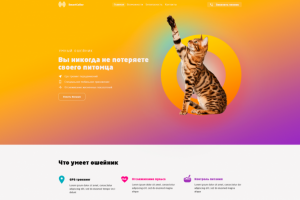 Зоомагазин