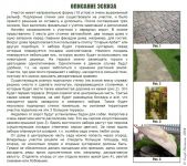 img3031708.png