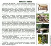 img3031709.png