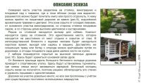 img3031712.png
