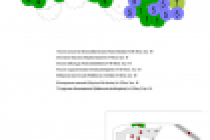 Увеличенный фрагмент. Схема цветника