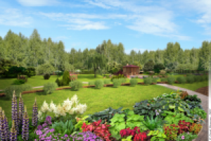 Визуализация участка