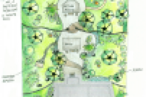 Планировка сада в Ленинградской области 27 соток. Эскиз 1