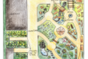 Планировка рынка садовых товаров. Эскиз 1