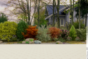 Дизайн яркого сада_Вид 7