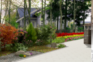 Дизайн яркого сада_Вид 8