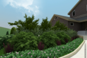 Ландшафтный дизайн участка