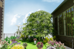 Ландшафтный дизайн участка