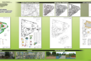 Проект озеленения школы