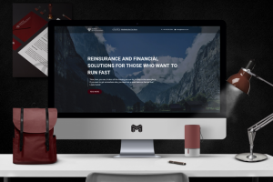 Разработка Корпоративного Сайта Для Компании Hansa Reinsurance B