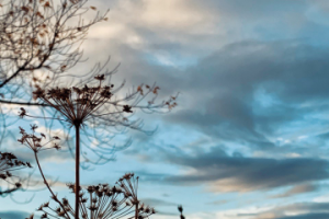 редактирование