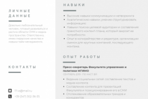 Портфолио в области SMM