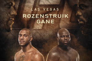 UFC-banner
