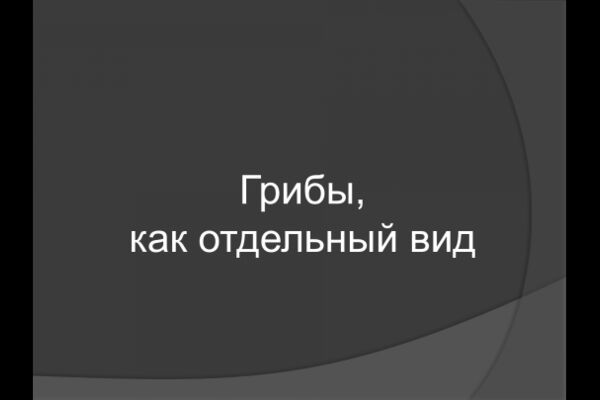 img4308286.png