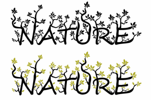 Игра с текстом