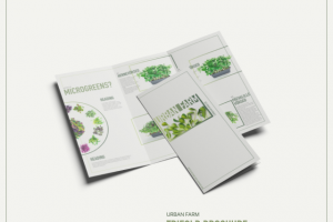 Брошюра Urban Farm