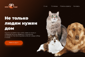 приют для животных