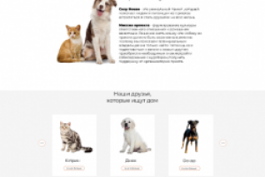 приют для животных