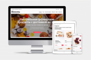 Магазин эко продуктов под ключ