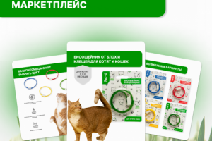 Карточки для маркеталейс