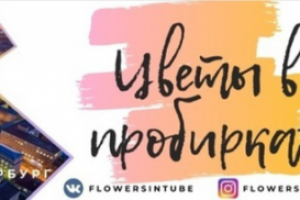 Кейс по продвижению нового товара на рынок — «Цветы в пробирках»