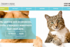 Благотворительный фонд